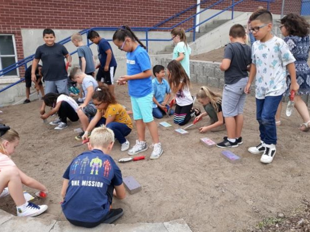 planting tulips