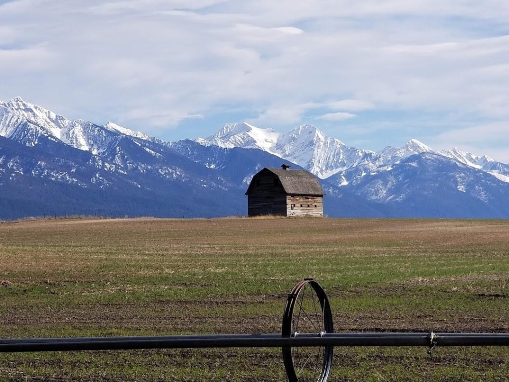 Daylight in Polson, MT.