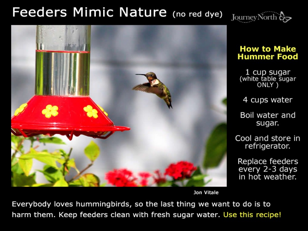 feeder recipe