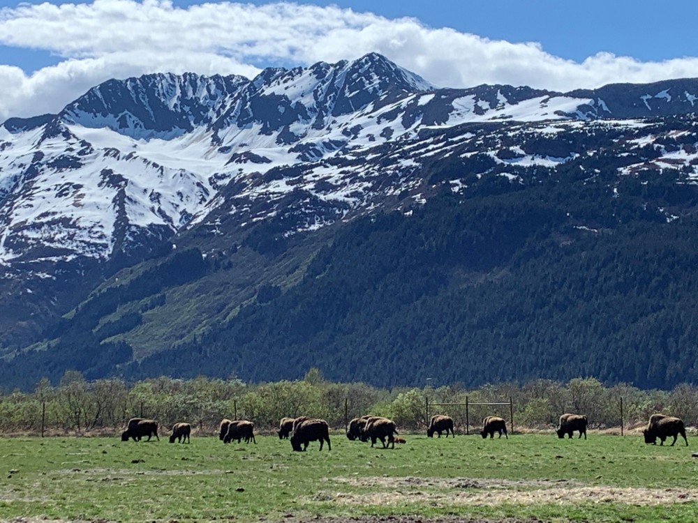 Moutains in Alaska.