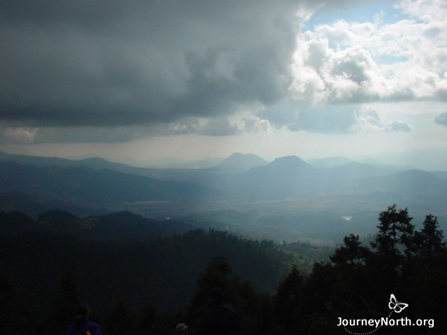 Monarchs have a special winter home in Mexico. Only twelve mountain-top forests have the habitat they need to survive the winter.