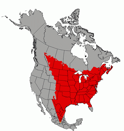 Monarchs fly from Canada and the United States to spend the winter in Mexico. This trip is called migration. Monarchs migrate as far as 3,000 miles.