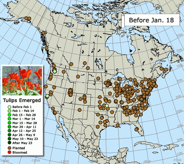 Tracking the Spring Season