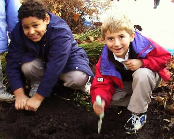 Try the Microclimate Challenge! Cause two tulip bulbs to bloom as many days apart as possible.