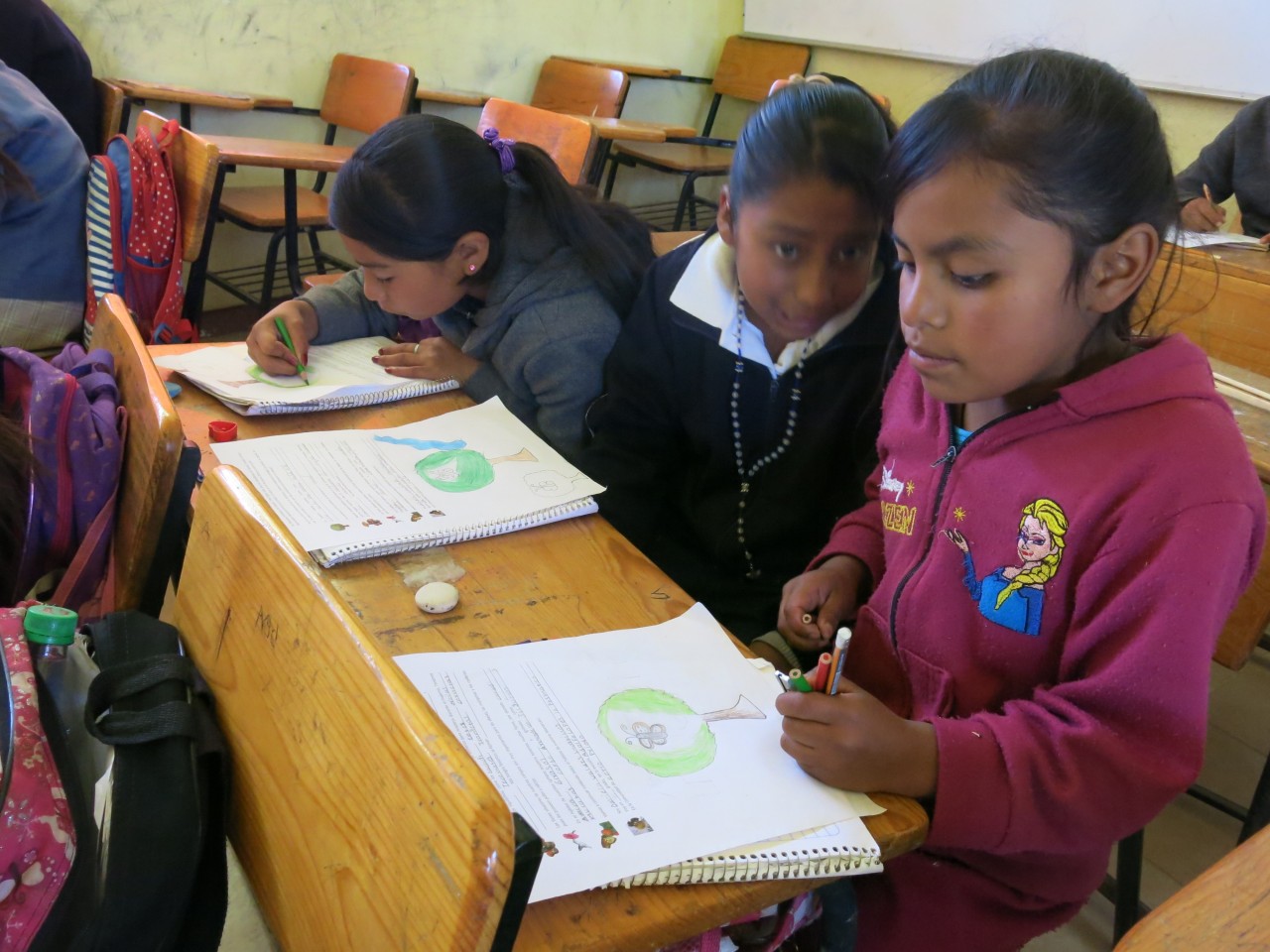 These girls are taking care to draw some scenes of the monarchs for their new friends from the US and Canada .