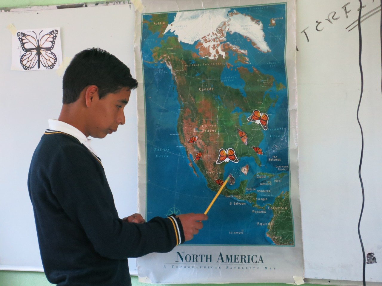 All students learn about the monarchs' migration from the United States and Canada to Mexico each year.