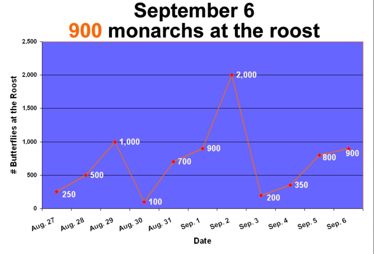 How do roosts change over time?