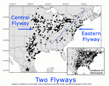 Monarch Butterfly Migration Map: Two Fall Migration Flyways