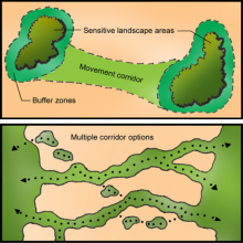 Habitat corridor diagrams.