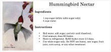 hummingbird nectar