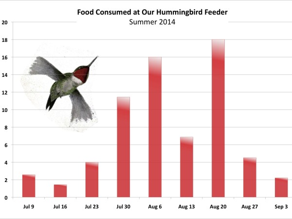 Nectar Consumption Chart by Harry