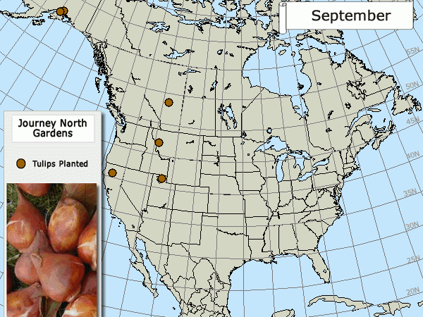 Map of tulip garden planting sites