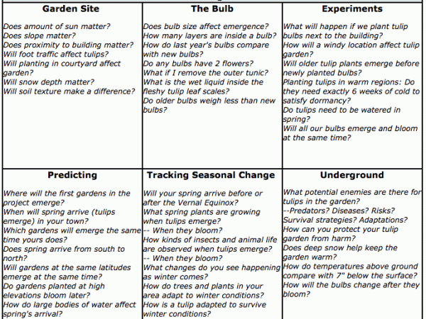 Sample questions for tulip research