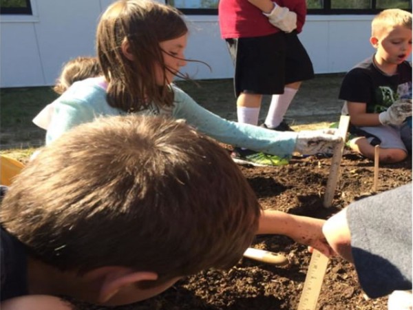 Students measuring planting depth