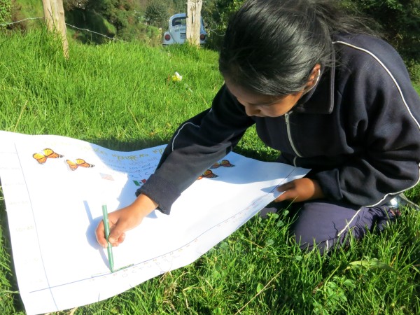 Children in Mexico Monitoring the Monarch's Arrival