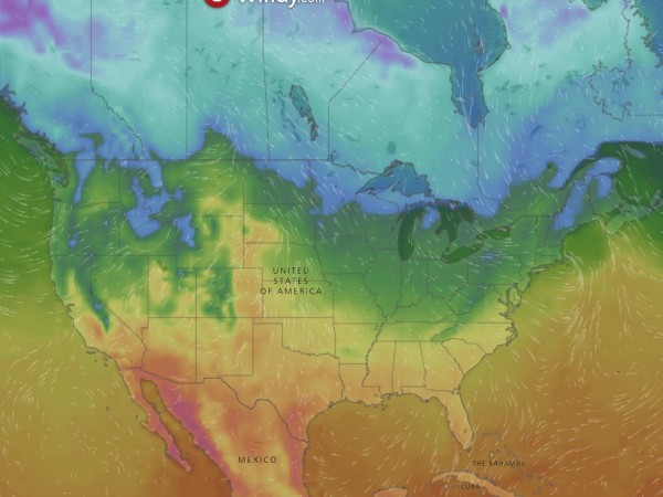 Live Wind Map