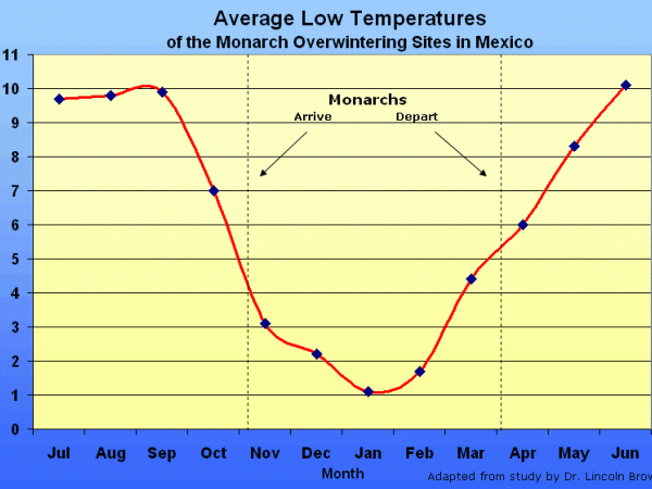 Temperature and Winter Survival