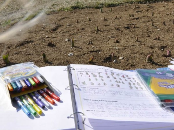 Using a notebook to record changes in the garden