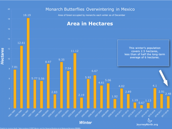 Graph: Monarch Butterfly Winter Population Size