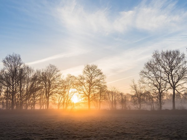 Spring sunrise