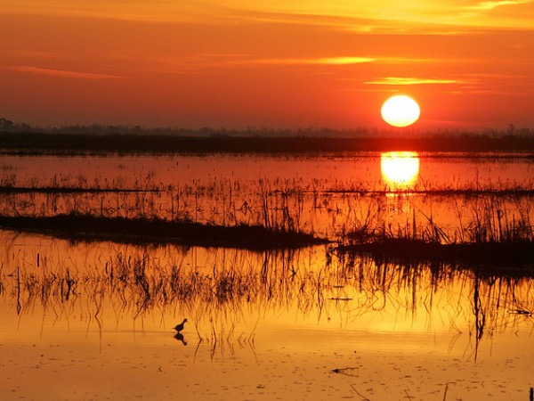 Sunrise