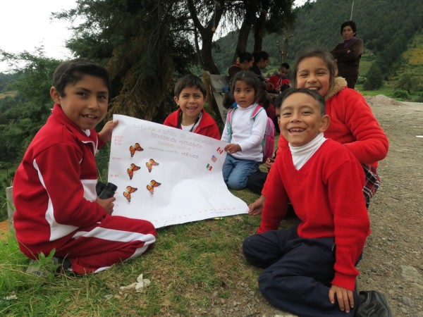 Monitoring the Monarch's Arrival in Mexico