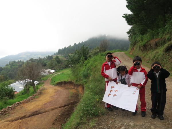 Monitoring the Monarch's Arrival in Mexico