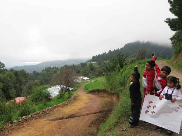 Monitoring the Monarch's Arrival in Mexico