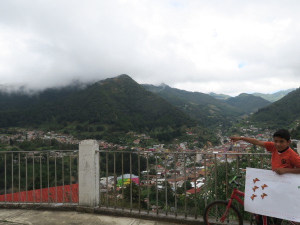 Monitoring the Monarch's Arrival in Mexico