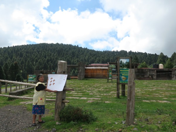 Monitoring Arrival 01