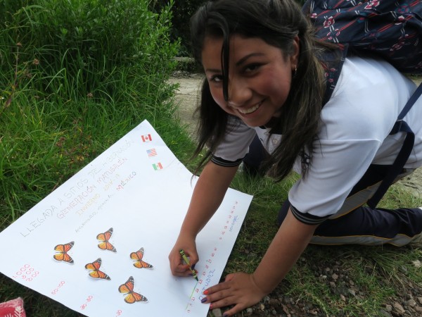 Monitoring Arrival 02