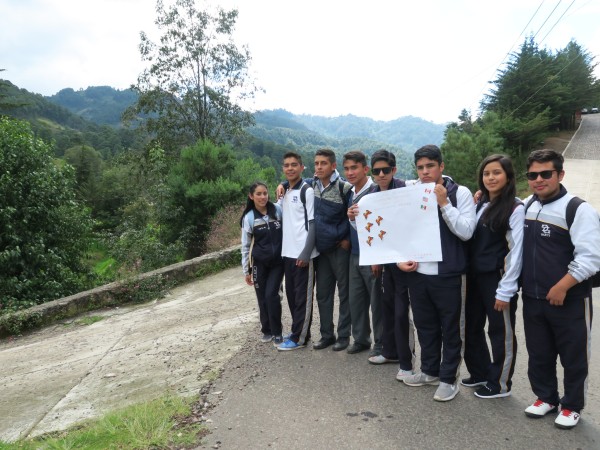 Monitoring the Monarch's Arrival in Mexico