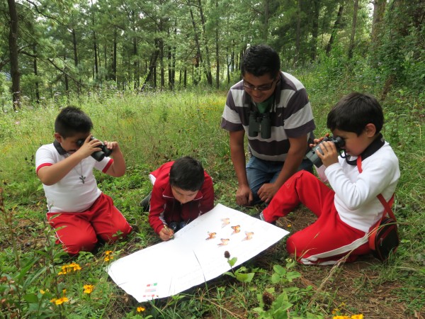 Monitoring the Monarch's Arrival in Mexico