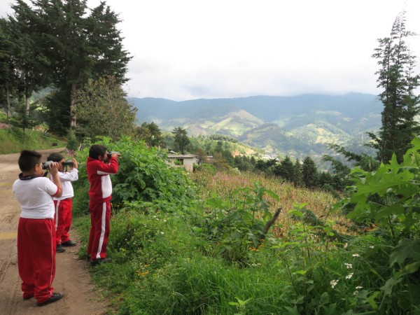 Monitoring the Monarch's Arrival in Mexico