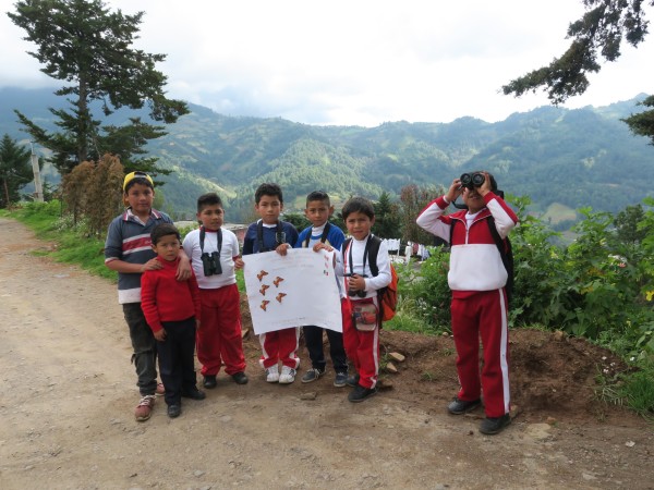 Monitoring the Monarch's Arrival in Mexico