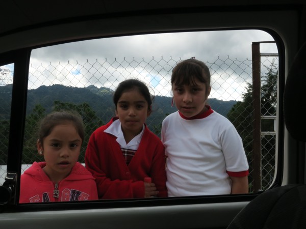 Monitoring the Monarch's Arrival in Mexico