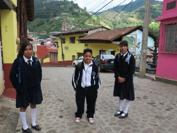 Monitoring the Monarch's Arrival in Mexico