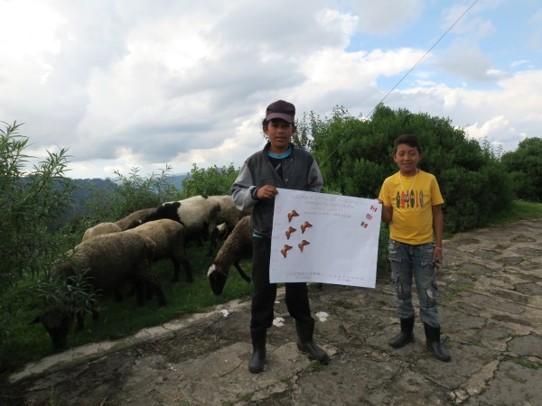 Monitoring the Monarch's Arrival in Mexico