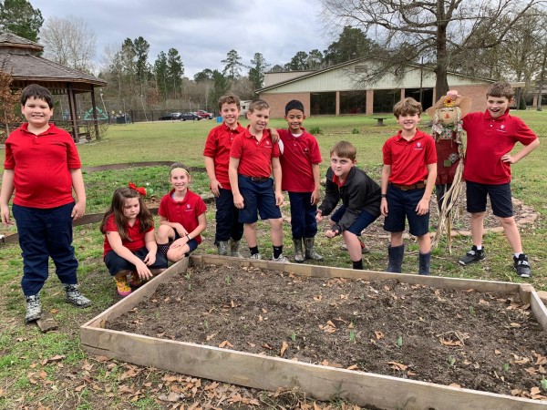 Students observed their tulip garden grow. 