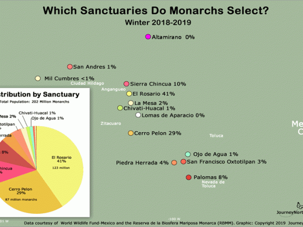 Population Distribution by Sanctuary