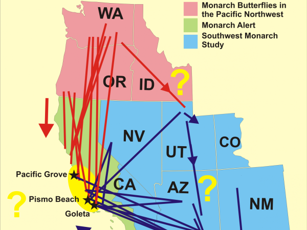 Comparison of Northwest and Southwest Fall Migration