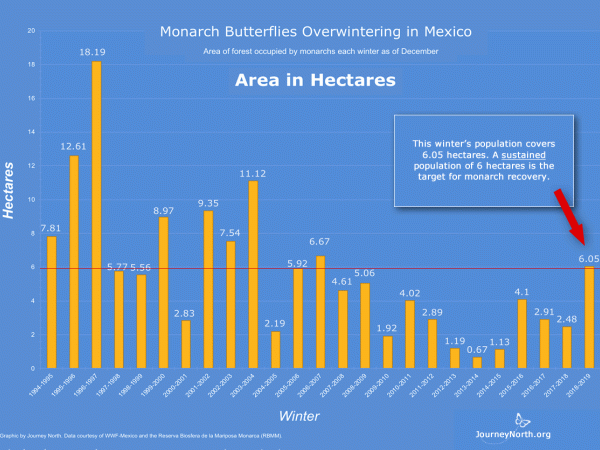 Monarch Butterfly Winter Population Graph