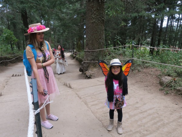 At El Rosario Monarch Butterfly Sanctuary in Mexico