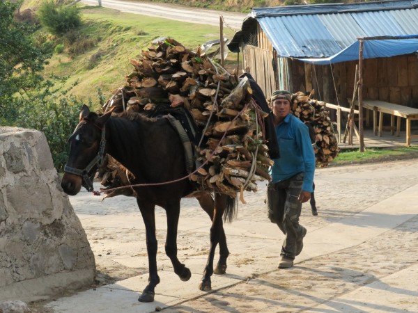 El Rosario Sanctuary