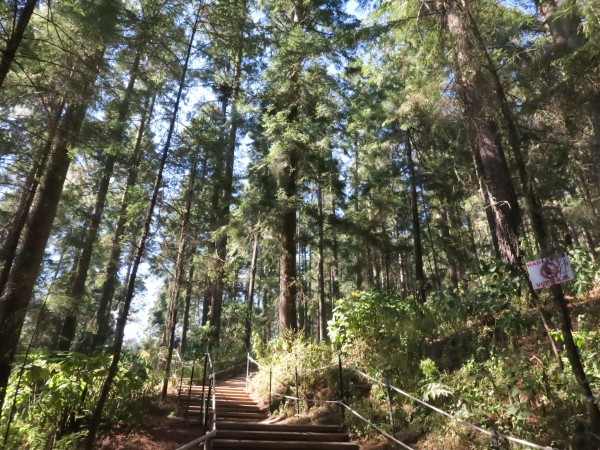 El Rosario Sanctuary