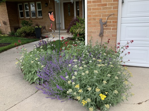  A Flowery Front Stoop