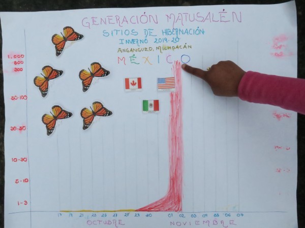 monarch monitoring