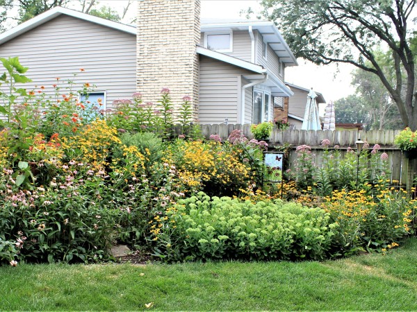 Pollinator garden.