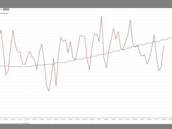 graph of temperature variation over one year 2023