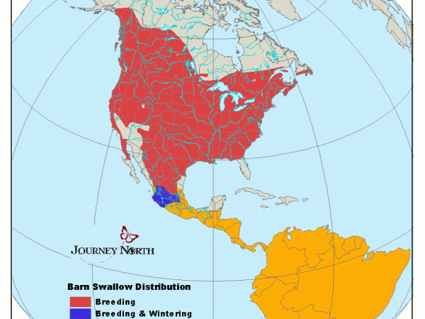 range map